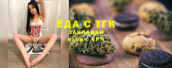 крисы Алзамай